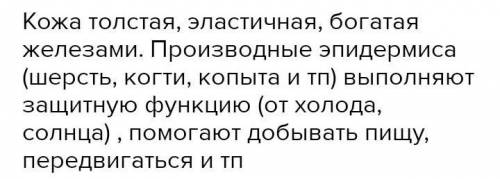 Каково Покровами позвоночных является кожа, эшидер- мисом и дермой. Элидермис кожи позвоночиых может