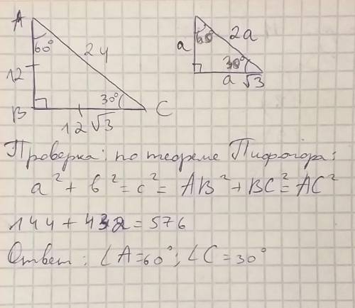 В прямоугольном треугольнике АВС,В-90 , АВ= 12 см, АС = 24 см. Найдите остальные внутренние углы тре