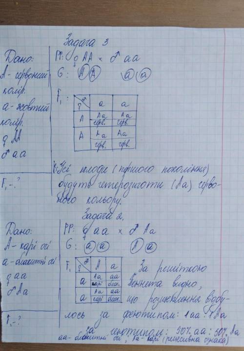 Будь ласка до ть задача 2 і 3 біологія