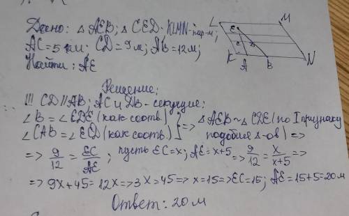 Впр по математике 8 класс: Определить расстояние от Андрея до дерева