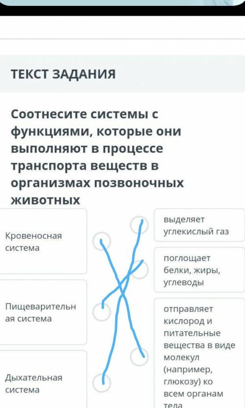 Соотнесите системы с функциями, которые онивыполняют в процессетранспорта веществ Ворганизмах позвон