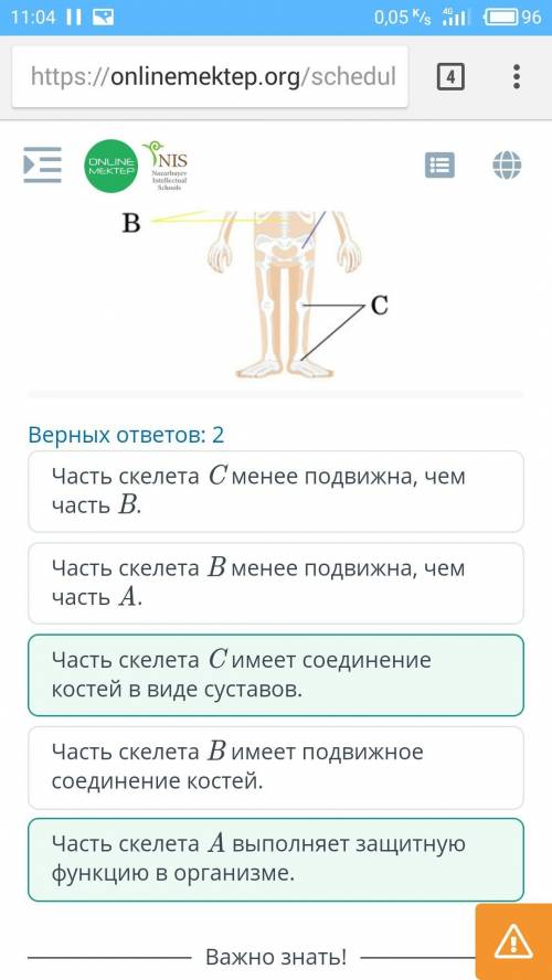 ЕСТЕСТВОЗНАНИЕ 6 КЛАС С Строение скелета человека Используя рисунок, определи верные утверждения о с