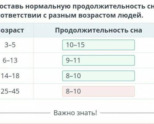 Значение сна для организма человека. Биологические ритмы. Фазы сна: медленный, быстрый сон Сопоставь