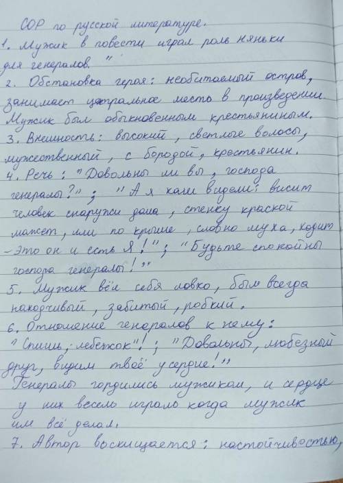 характеристика мужика из сказки М.Е. Салтыкова-Щедрина « Повесть о том, как один мужик двух генерало