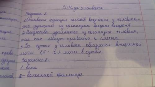 Задание 8. Выберите верные суждения: 1. Орган слуха расположен в височной кости и делится на наружно