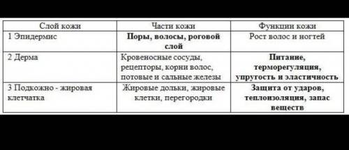 Заполните пустые графы которые выполняют разнообразные функции. .. ​