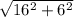 \sqrt{16^2+6^2}