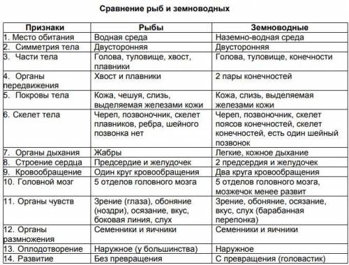 Особенности внутреннего строения лягушки в сравнении с рыбами