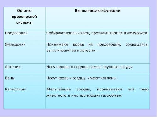 Задание № 1. Допишите предложения 1. Витамины - это..., они делятся на 2 группы:2. При недостатке ви