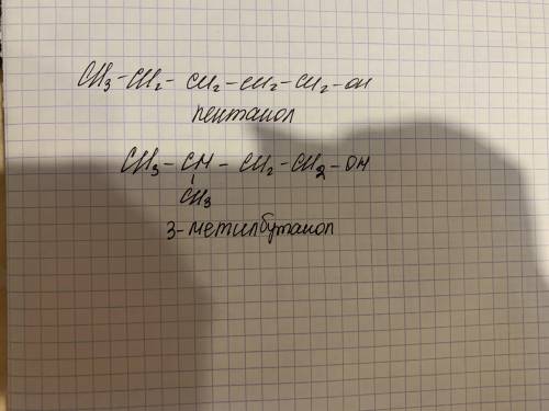 Составьте структурные формулы двух изомерных спиртов состава C5H120, назовите их