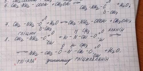 1) метиловий естер амінооцтової кислоти → аміноетанова кислота 2) аміноетанова кислота → діпептид Гл