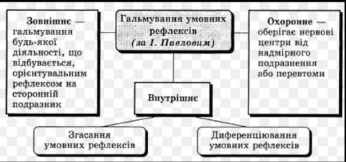 Яке значення мають процеси гальмування у ВНД?​