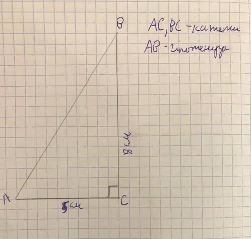 очень накреслити прямокутний трикутник з катетами 5 і 8 см