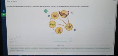 Используя схему взаимосвязей между компонентами экосистемы, соотнеси названия компонентов количество