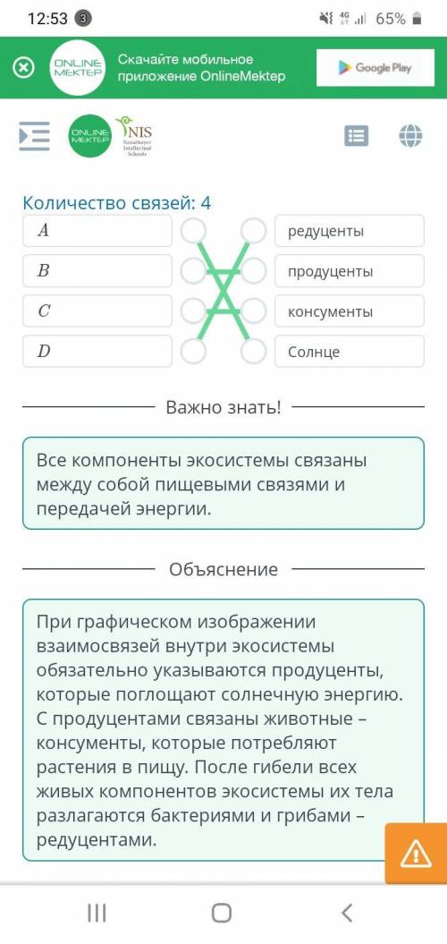 Экосистемы Соотнеси компоненты экосистемы с примерами.￼Количество связей: 4ABCDредуцентыпродуцентыко