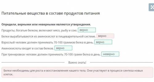 Питательные вещества в составе продуктов питания Определи, верными или неверными являются утверждени