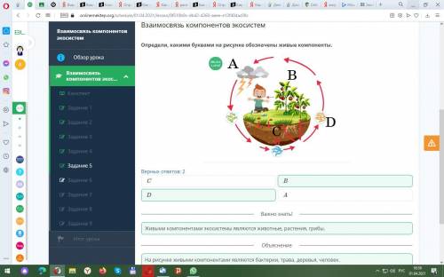 Взаимосвязь компонентов экосистем Определи, какими буквами на рисунке обозначены живые компоненты.Ве