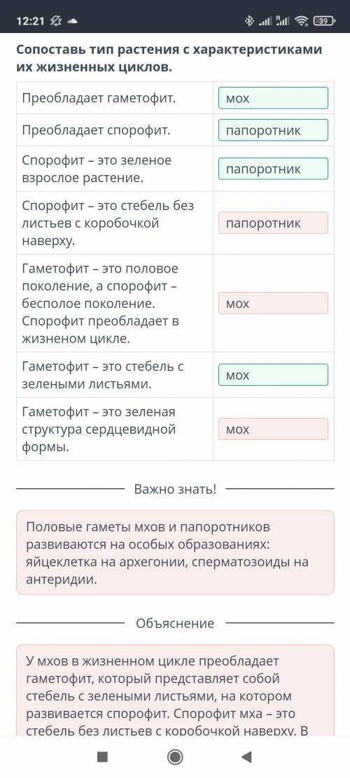 Сопоставь тип растения с характеристиками их жизненных циклов. Преобладает гаметофит. Преобладает сп