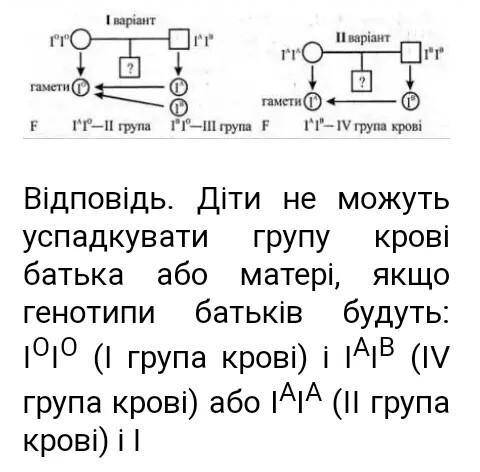 За якого генотипу та фенотипу батьків діти не можуть успадкувати групу крові батька або матері​