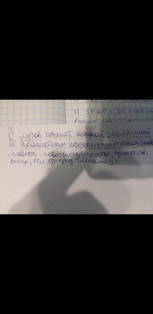 С лугов пахнет сладкой земляникой и ароматным настоем разнотравья синтаксический разбор