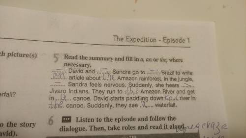 Read the summary and fill in a, an or the, where necessary.David and Sandra go to Brazil to write ar