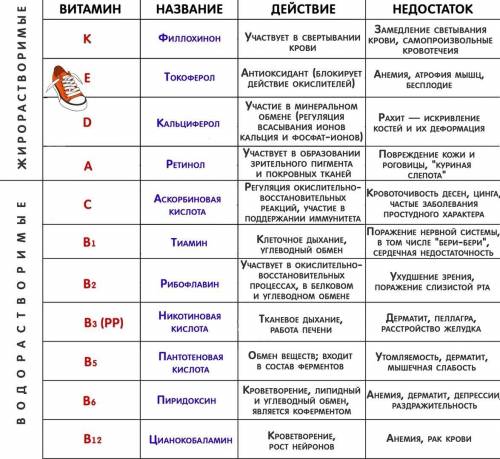 Таблица 8 класс биология Витамины