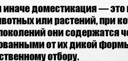 Небольшое сообщение на тему: История одомашнивания животных (5-8 строчек)Только адекватно, заранее