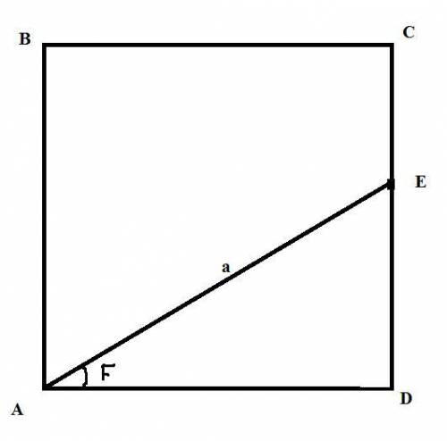 На стороні CD квадрата ABCD позначено точку E так, що AE = a. Кут DAE = a. Знайти периметр квадрата.