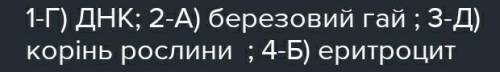 Який рівень моделі OSI відповідає за організацію передачі даних між абонентами через фізичний рівень