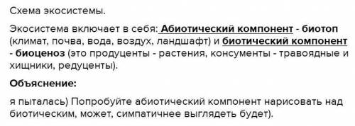 Графически представить взаимосвязь компонентов экосистем. Дополнить графическое представление взаимо