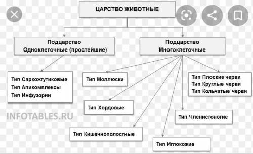 Конспект по биологии 5-6 класс В. В. Пасечник 22 параграф характеристика царства животные