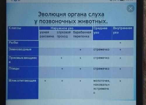 Нужно составить таблицу по теме:Эволюция органов чувств