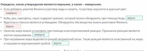 Практическая работа № 4 «Определение питательных веществ в составе пищи» Определи, какие утверждения