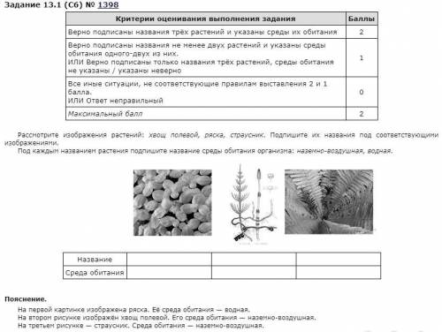 Решения заданий с развернутым ответом не проверяются автоматически. На следующей странице вам будет