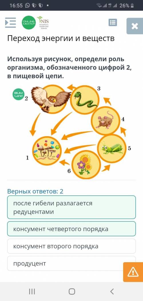 Переход энергии и веществ Используя рисунок, определи роль организма, обозначенного цифрой 2, в пище