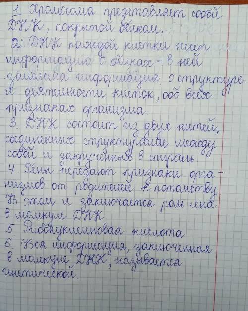 1.Что представляет собой хромосома? 2.Какую информацию содержит ДНК?3.Из чего состоит ДНК?4.Какова р