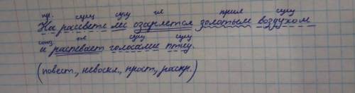 Сделать синтаксический разбор предложения.На рассвете лес озаряется золотым воздухом и распевает гол