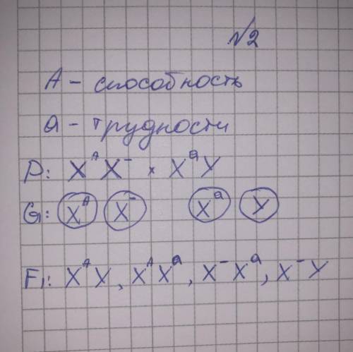 Задача № 1 Упрямство – рецессивный признак, сцепленный с полом. Покладистый мужчина женится на женщи