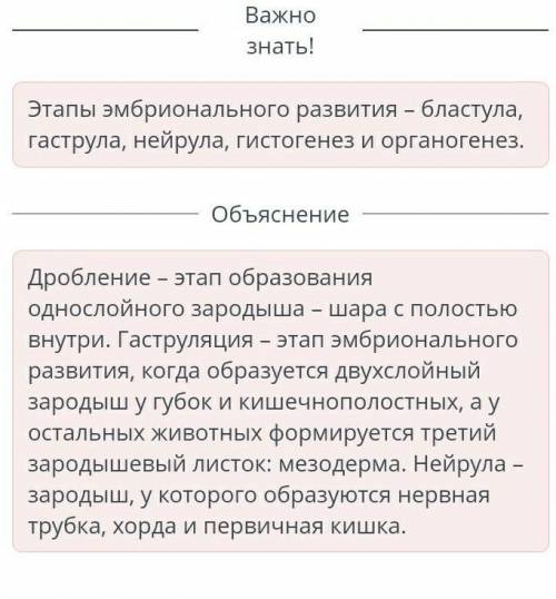 Сопоставь этапы эмбрионального развития с их характеристиками. образуется двухслойный зародыш. образ