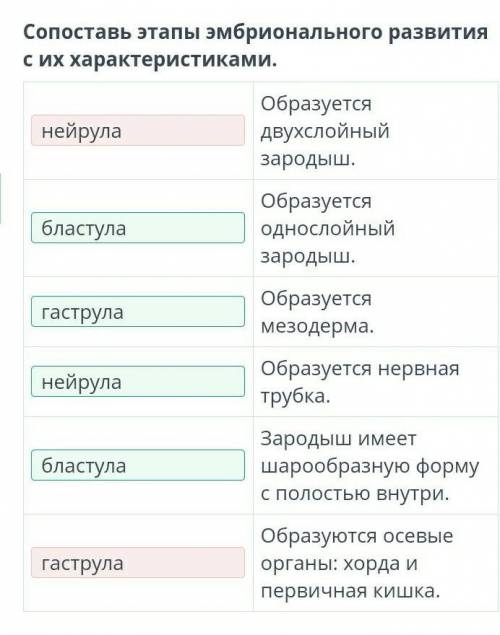 Сопоставь этапы эмбрионального развития с их характеристиками. образуется двухслойный зародыш. образ