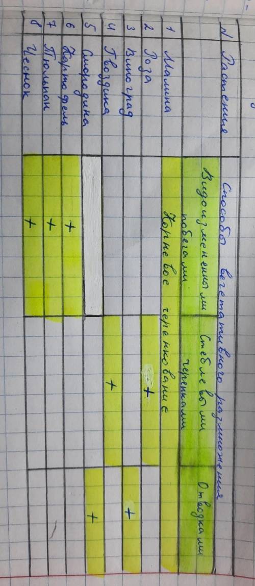 Заполните таблицу в тетради, поставив знак +. Растения вегетативногоразмноженияВидоизмененнымиСтеб