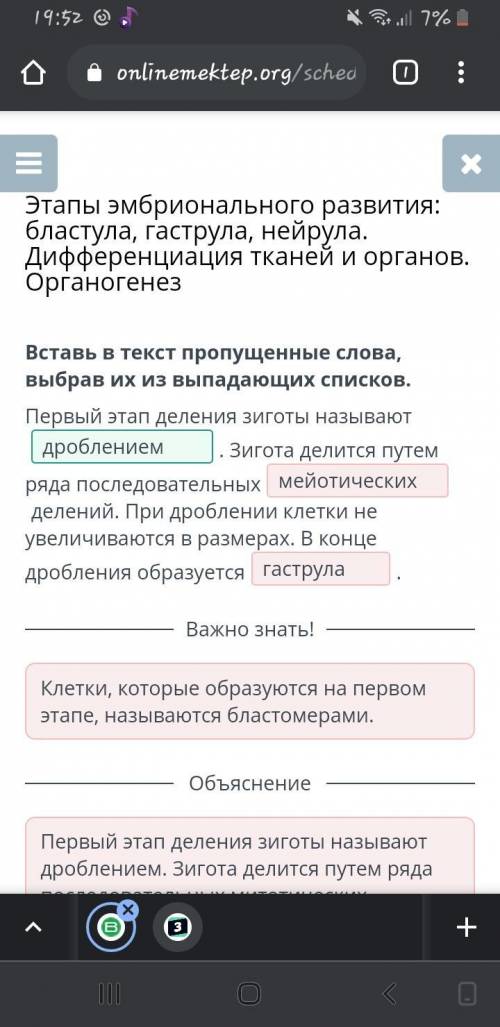 Вставь в текст пропущенные слова, выбрав их из выпадающих списков. Первый этап деления зиготы называ