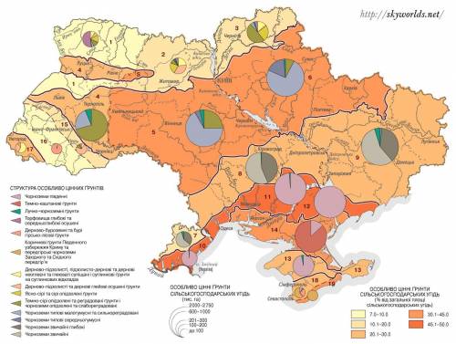 Україна щороку виробляє 2, 01 млн т цукру. У Франції цей показник становить 4, 45 млн т. При цьому в