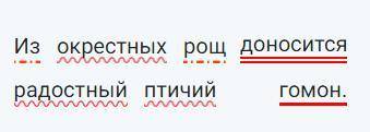 Синтаксический разбор. Из окрестных рощ, доносится радостный птичей гомон.​