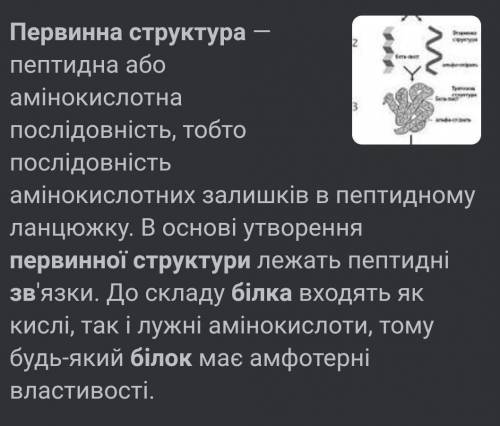 Знайдіть відповідність: первинна структура білка ​