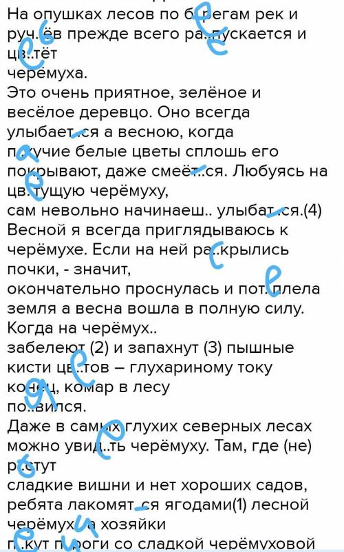 На опушках лесов по б..регам рек и руч..ёв прежде всего ра..пускается и цв..тёт черёмуха. Это очень