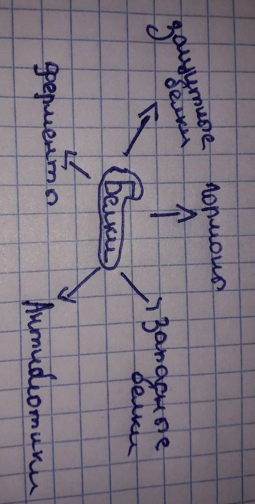 Постройте схематическую диаграмму о биологической роли белков !