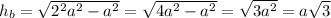 h_b = \sqrt{2^2a^2-a^2} = \sqrt{4a^2 - a^2} = \sqrt{3a^2} = a\sqrt{3}