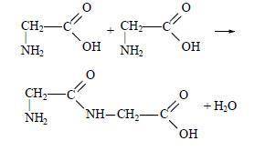 Напишите уравнения образования дипептида из двух молекул глицина (NH2-CH2-COOH)​