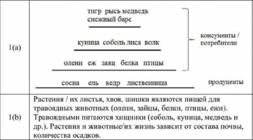 Определите трофические группы экосистемы (продуценты, консументы, редуценты) ( )  2.Составьте одну и